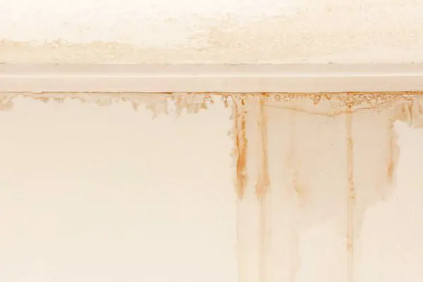 Water Damage Repair - Stucco and Roofing Contractors Albuquerque