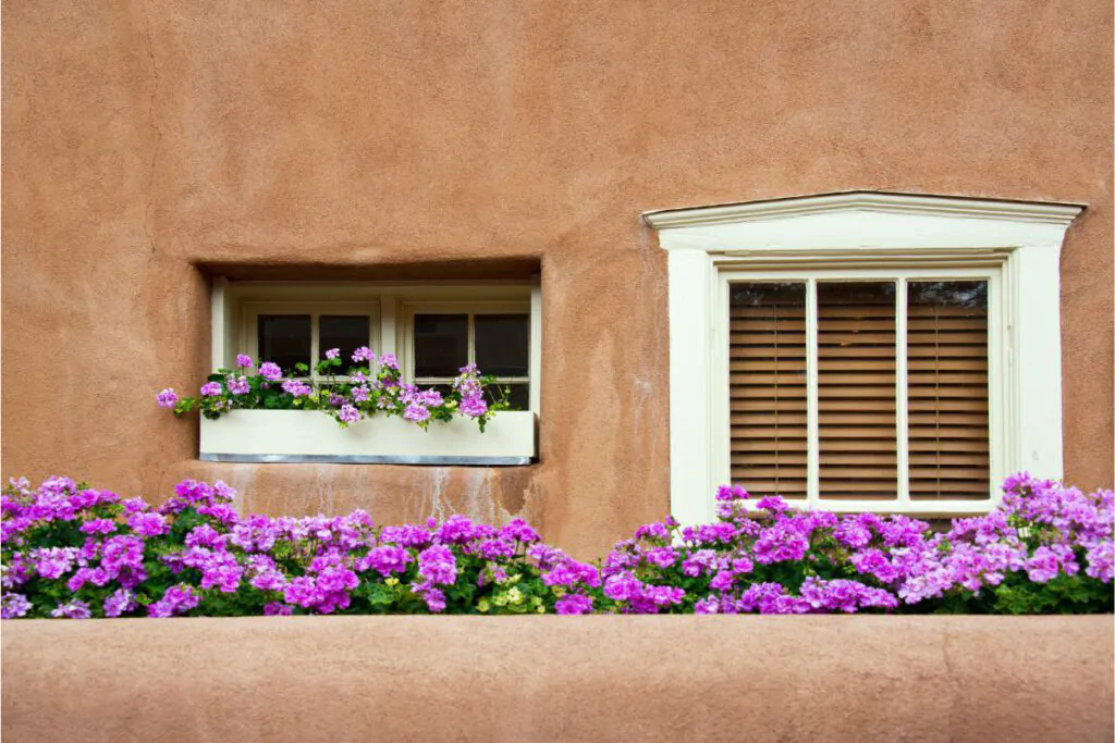 Stucco wall exterior with 2 windows and plants